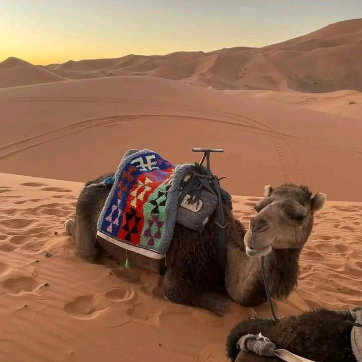 Hotel Kasbah Ait Arbi Ait Ougliff Esterno foto
