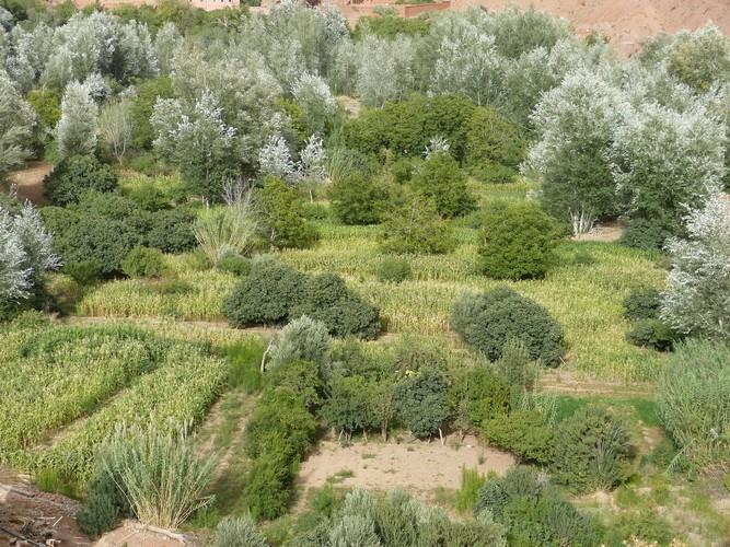 Hotel Kasbah Ait Arbi Ait Ougliff Esterno foto